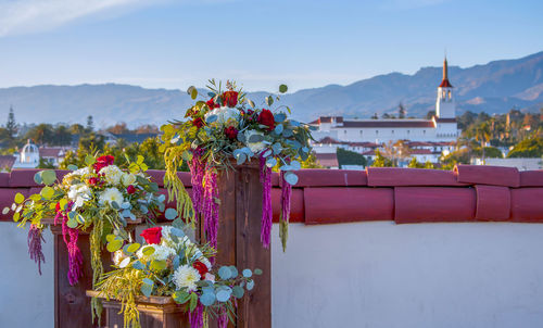 Close-up of potted plants against mountains