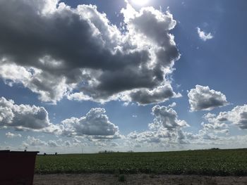 Scenic view of field against sky