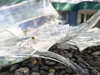 Close-up of stone glass on rock