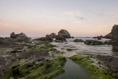 Scenic view of sea against sky during sunset