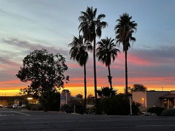 Silhouette palm trees against sky during sunset
