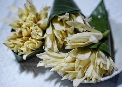 Close-up of fresh white flowers in plate
