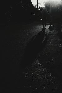 Silhouette people walking on road at night