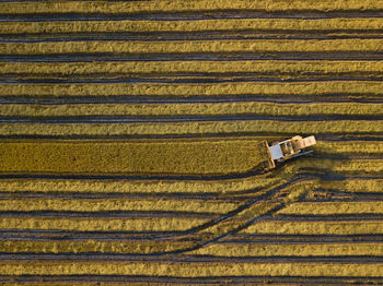 Aerial view of combine harvester on agricultural field