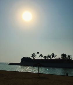 Silhouette palm tree by sea against clear sky