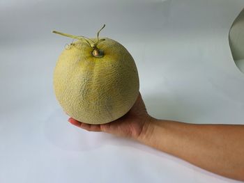 Close-up of hand holding melon fruit