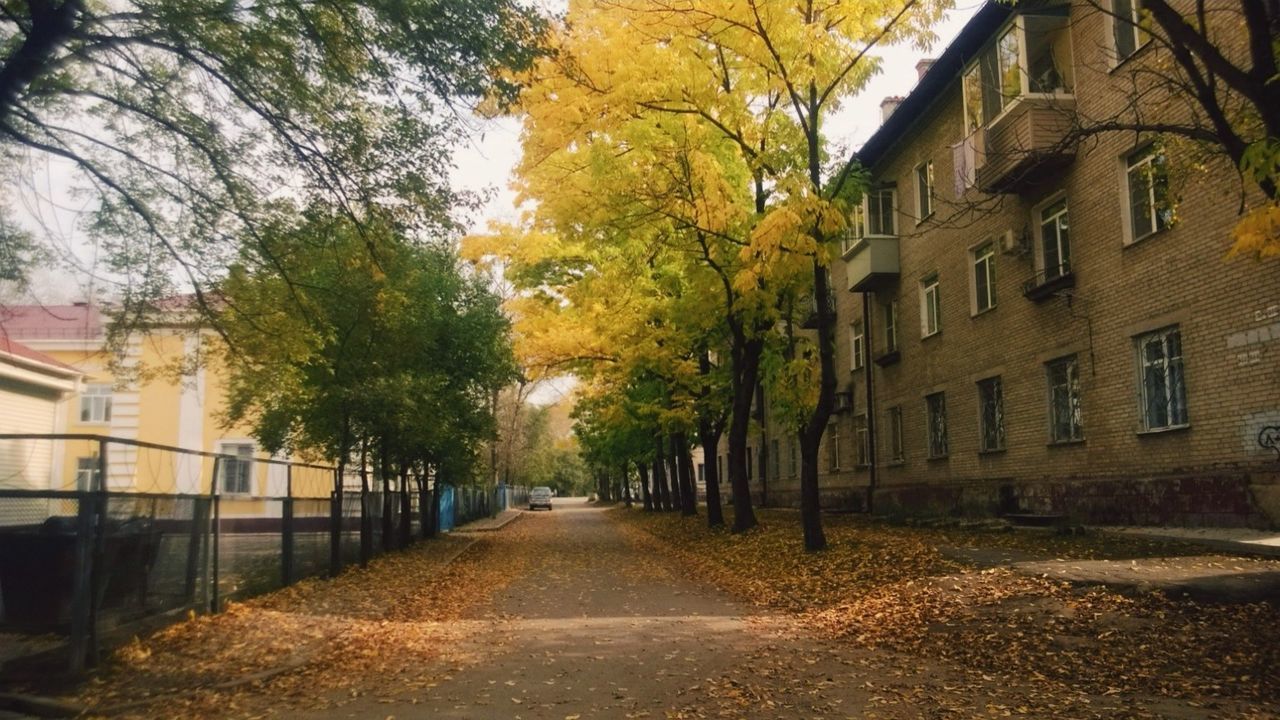 building exterior, architecture, the way forward, built structure, tree, street, transportation, diminishing perspective, autumn, road, residential building, city, residential structure, vanishing point, house, building, growth, outdoors, day, branch