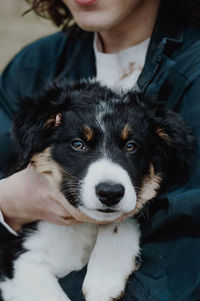 Midsection of man holding puppy