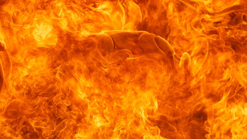 Close-up of fire