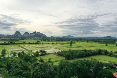 Scenic view of agricultural field against sky