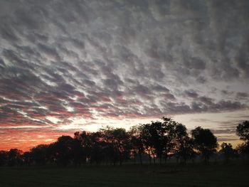 Silhouette trees on field against sky during sunset