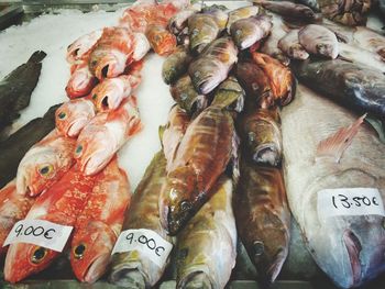 High angle view of fish for sale in market