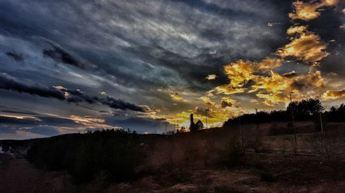 Close-up of tree against sky at sunset