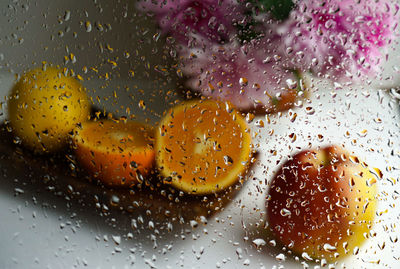 Close-up of wet glass window