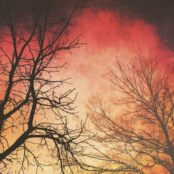 Low angle view of bare trees against sky at sunset