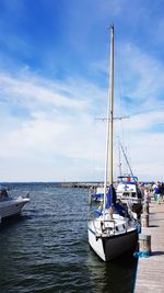 Sailboats moored in harbor