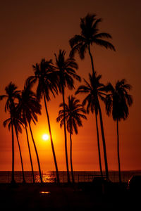 Silhouette palm trees on beach against sky during sunset