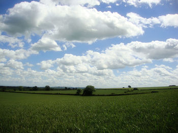 Scenic view of field against cloudy sky