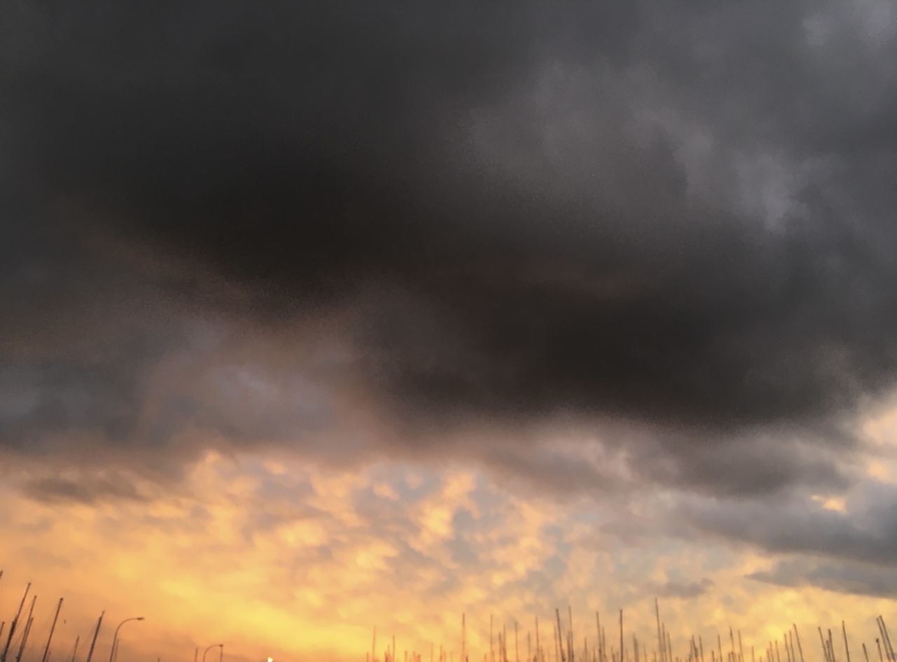 LOW ANGLE VIEW OF STORM CLOUDS IN SKY