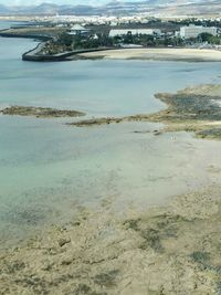 Birds on beach