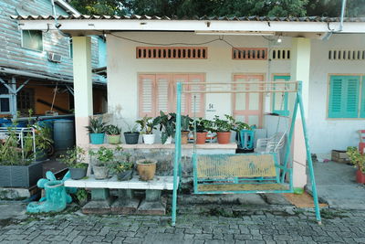 Potted plants outside building