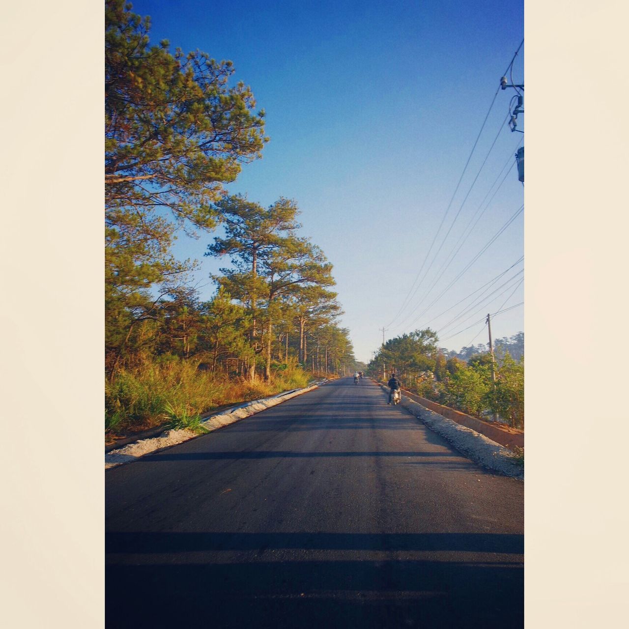 transportation, the way forward, tree, diminishing perspective, road, vanishing point, sky, clear sky, long, road marking, windshield, country road, no people, railroad track, day, mode of transport, nature, power line, outdoors, empty