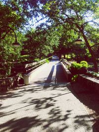 Footpath amidst trees in park