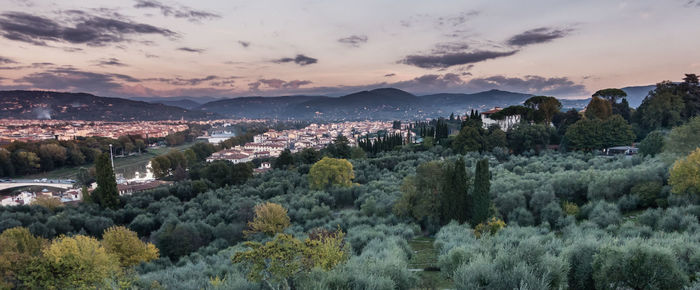 Panoramic shot of trees and cityscape against sky