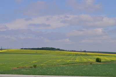 Scenic view of agricultural field against sky