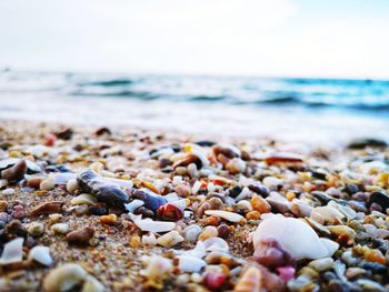 Surface level of pebble beach