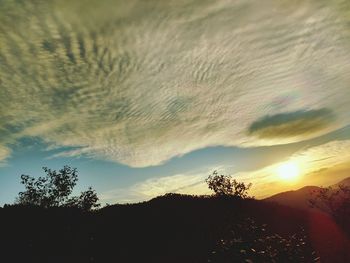 Low angle view of silhouette trees against sky