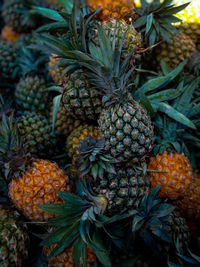 Close-up of fruits growing in market