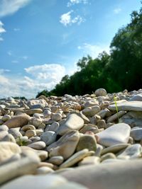 View of pebbles on beach