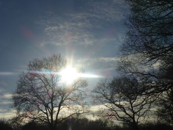 Low angle view of bare trees against sky