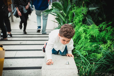 High angle view of boys walking on plants