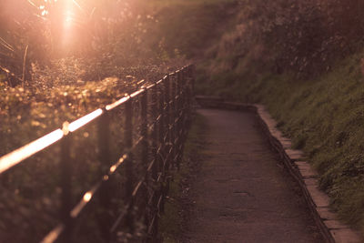 Empty footpath by railing at park during sunset