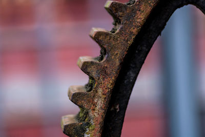 Close-up of rusty metal