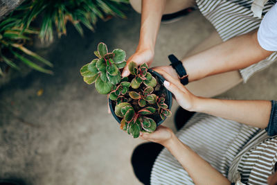 Midsection of woman holding plant