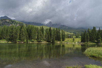 Scenic view of lake by trees against sky