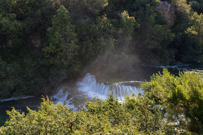 Scenic view of waterfall in forest