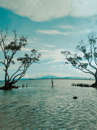 A very wide beach with a view of two trees that makes this place even more exotic. 