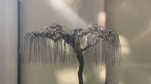 Low angle view of water