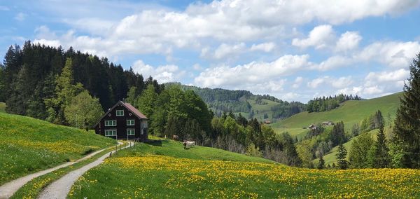 Panoramic view of landscape against sky