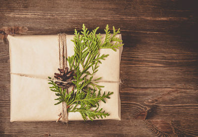 Directly above shot of plant on table