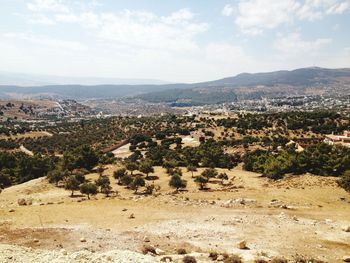 Scenic view of landscape against sky