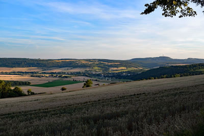 Scenic view of agricultural field against sky