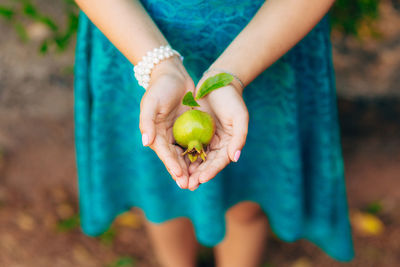 Midsection of woman holding pomegranate in hands