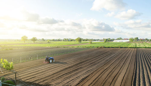 A tractor rides on a farm field. farmer on a tractor with milling machine loosens, grinds 