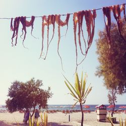 View of beach against sky