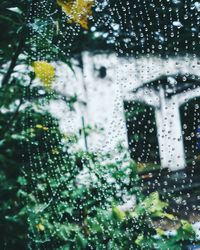 Close-up of wet window in rainy season